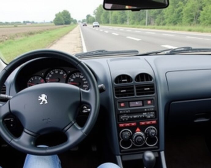 Guide complet des voyants du tableau de bord de votre Peugeot 206 : Significations et conseils